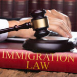The Many Services That An Immigration Lawyer Can Provide.
